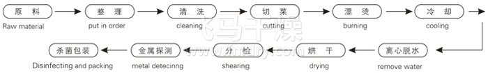 脫水蔬菜帶式幹燥（zào）工藝流程